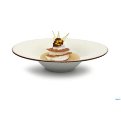 JUPITER PIATTO PORCELLANA FILO MARRONE -PASTA BOWL  CM 30 3229 BACKSTAMP LIONESS A STAMPO