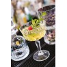 OPERA - CONFEZIONE 6 COPPE CHAMPAGNE CL 24 25849020206