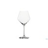 REVOLUTION - CALICE MATURE CL. 54,5