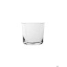SAVAGE-CONFEZIONE 6 BICCHIERI LOWBALL CL.29,5 NUDE 64154