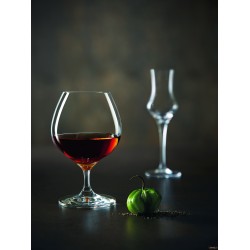 SPIRITS - CALICE COGNAC CL 70    N8172