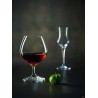 SPIRITS - CALICE COGNAC CL 70    N8172