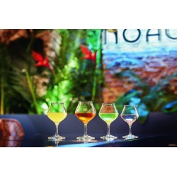 SPIRITS - CALICE RHUM CL 17    N6374