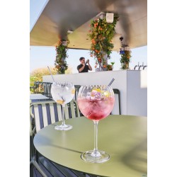 SYMETRIE - CALICE GIN CL 58 H 20,9 CM. 10,6