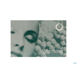 WEINLAND - CAL. VINI ROSSI CL.45 H.20,5  1000001