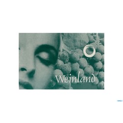 WEINLAND - CAL.VINI B.CHI CL. 35 H.19,5  1000002