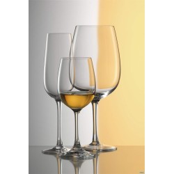 WEINLAND - CALICE VINI B CHI CL 35 H 17,5