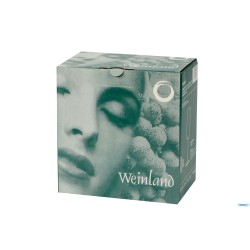 WEINLAND - FLUTE CHAMPAGNE CL. 20
