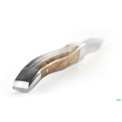 CHULETEROS COLTELLO BISTECCA MANICO INOX-LEGNO DENALI