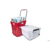 ARAVEN-BOX TRASPARENTE  C.COP.53X40 H.22 LT 40  91173