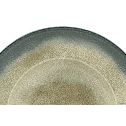 ARIZONA-PASTA BOWL CM.27 RISUS