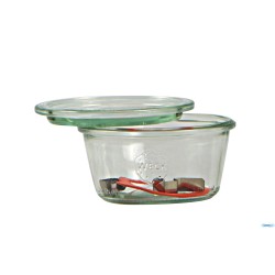 WECK R CILINDRICO - VASETTO ML.290 CON COPERCHIO MM100    740   10625