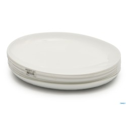 EVOLUTION - PIATTO OVALE BBQ CM 33X25 N9364
