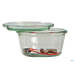 WECK R CILINDRICO - VASETTO ML.370 CON COPERCHIO MM100    741