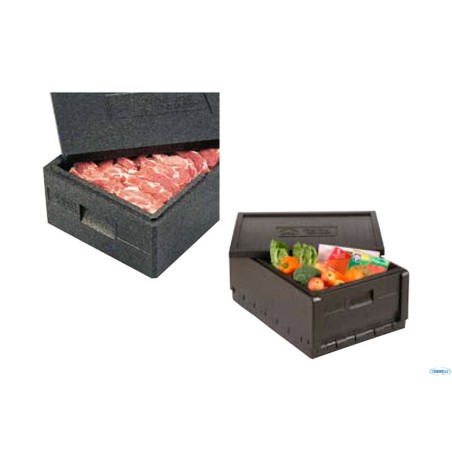 BOX P.PROP.GASTR.1.1CM54X33X26,5INTERNA 49648 40459