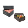 BOX P.PROP.GASTR.1.1CM54X33X26,5INTERNA 49648 40459