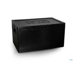 BOX P.PROP.GASTR.1.1CM54X33X26,5INTERNA 49648 40459