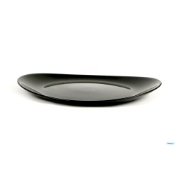 EVOLUTION BLACK-PIATTO BISTECCA 30X25,8 P1140-N6583  N2177