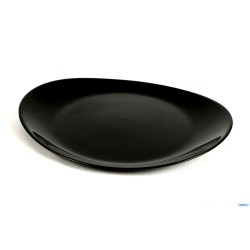 EVOLUTION BLACK-PIATTO BISTECCA 30X25,8 P1140-N6583  N2177