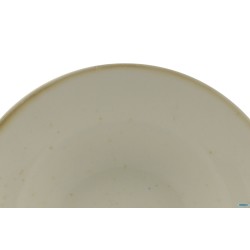 JAVA BARLEY CREAM - PASTA BOWL CM 25 INTERNO CM 16   01020BC