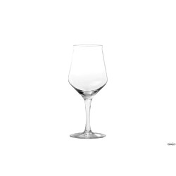 BIRRA - CALICE DEGUSTAZIONE  CL. 43   1210019