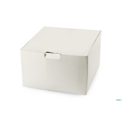 JAVA AQUA BLU - PASTA BOWL CM 25 INTERNO CM 16   01020HAB
