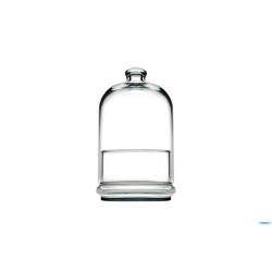 PATISSERIE MIDI-CONTENITORE H.19CM LISCIO 96889-1113568