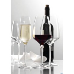 EXPERIENCE - CALICE VINI BIANCHI CL. 35