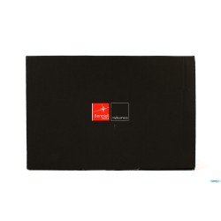 PREMIUM - CALICE CL 55 NR. 15 VETRO STAR GLASS