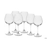 PREMIUM-CONFEZIONE.6 CALICI CL 67 NR. 4 NEBBIOLO