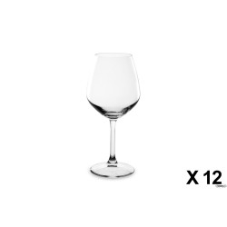 RESTAURANT-CONFEZIONE 12 CALICI VINI ROSSI CL.53 MP2