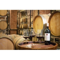 STARLIGHT - CALICE BORDEAUX CL.67 H.25,5 -
