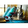 STARLIGHT - CALICE BORDEAUX CL.67 H.25,5 -
