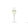 SYMPHONY - CALICE FLUTE CHAMPAGNE CL 29 7310029 OTTICO