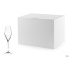 SYMPHONY - CALICE FLUTE CHAMPAGNE CL 29 7310029 OTTICO
