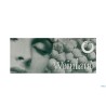 WEINLAND - BICCHIERE D.O.F. CL. 35