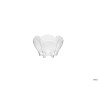 TULIP TRASP.-CONFEZIONE.25 BICC.COPP.