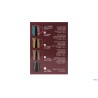 EVOLUTION ORO-LATTIERA CL 50 TAZZE 6 INOX 39OR6